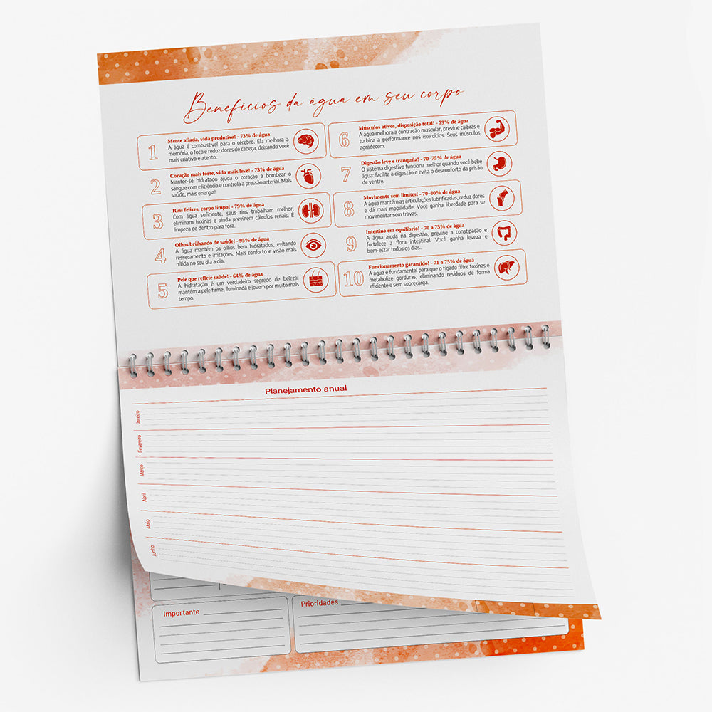 Desk Planner Semanal Personalizado