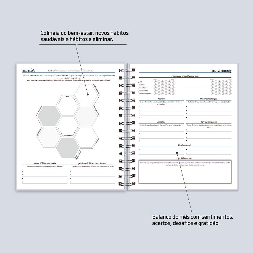Planner 2027 Personalizado Buddies Essencial Sereno
